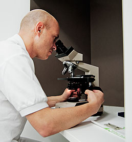 Dr. Thomas Akkad Mikroskop