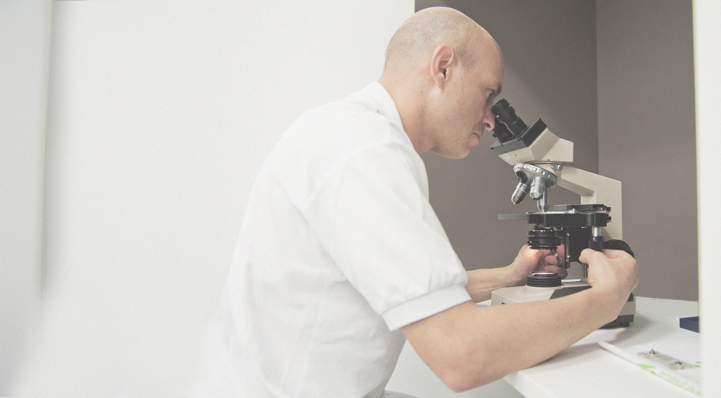 Hintergrundbild Dr. Akkad